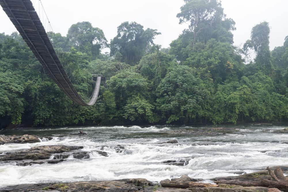 Korup National Park
